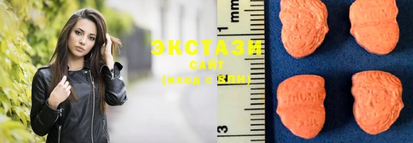 стаф Инта