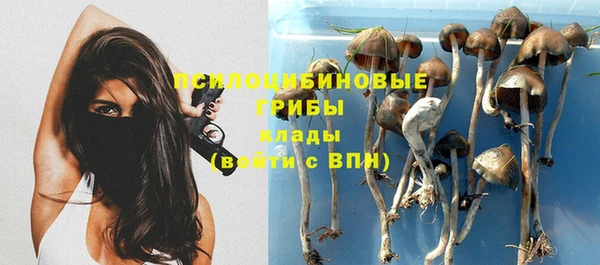 сатива Абинск