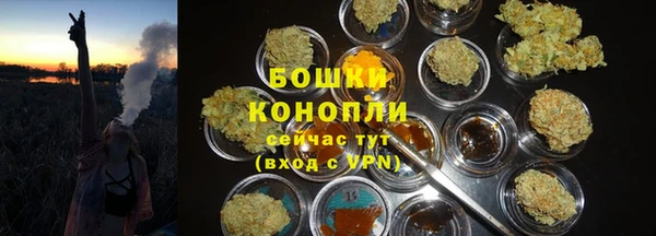 мяу мяу мука Абаза