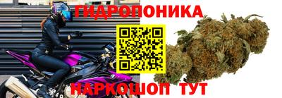 каннабис Тверь