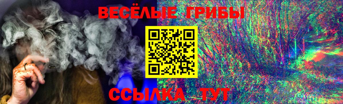 Подольск  Галлюциногенные грибы Magic Shrooms  наркотики  Вход с VPN 