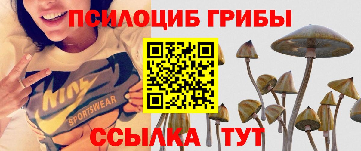 Псилоцибиновые грибы Psilocybine cubensis Подольск